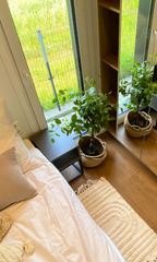 Casa movel black light