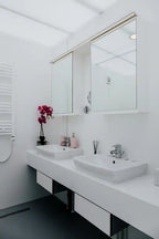 Módulo sanitario “Lotus”